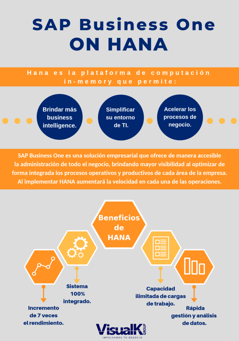 Infografía Conoce SAP Business One On HANA VisualK Partner Gold SAP